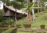 Chýše u bahenních lázní