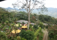 Výhled z restaurace po cestě