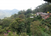 Výhled z restaurace po cestě 2