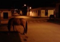 To si tak večer jdete po ulici