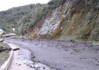 Bahno po cestě do Neivy 2