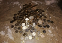 Prásátko padlo za oběť cestě